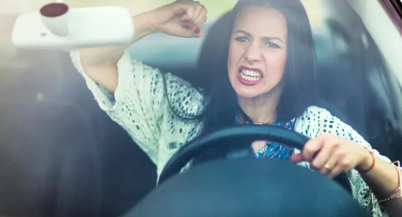 The Fight Response on the Road AKA Road Rage