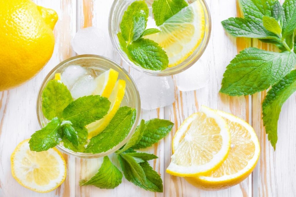 cooling herbs for summer lemon balm